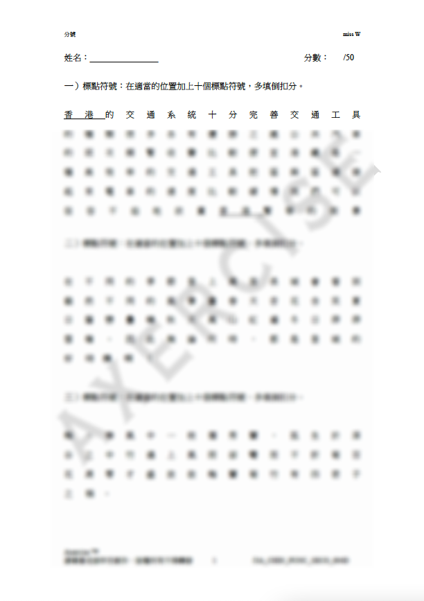 分號 中文標點符號練習PDF_004 – Axercise™