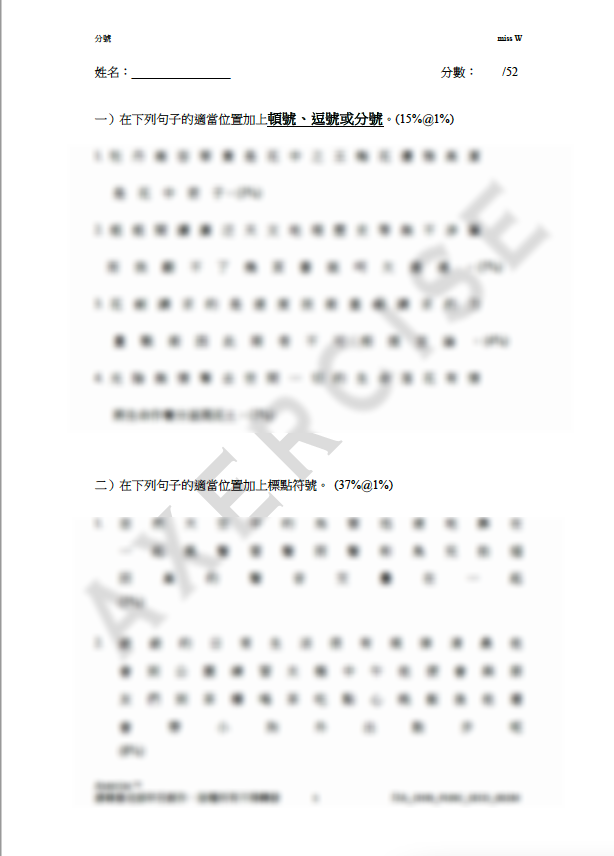 分號 中文標點符號練習PDF_002 – Axercise™